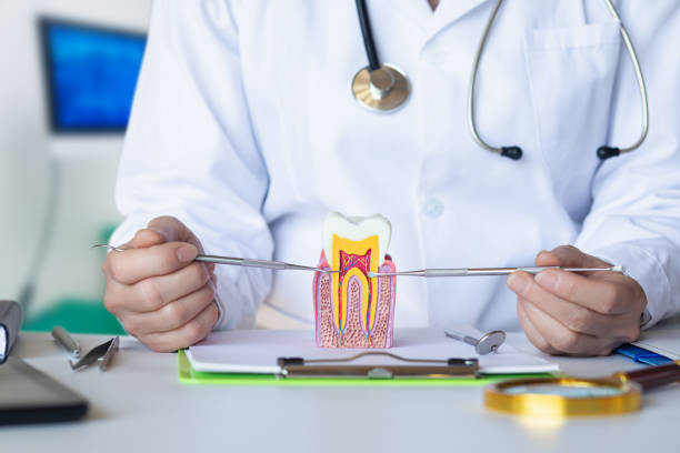 Best Emergency Dentist for Lost Fillings or Crowns in Arkwright, SC